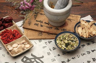 中藥炮制品質(zhì)量?jī)?yōu)劣的分辨方法——詳解中草藥鑒別技巧