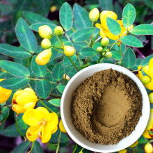 西安奧威有機(jī)科技 傳承本草精華，賦能健康生活