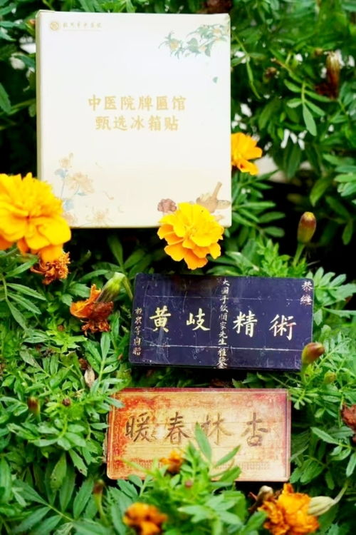 中草藥 千年的智慧與未來(lái)的希望