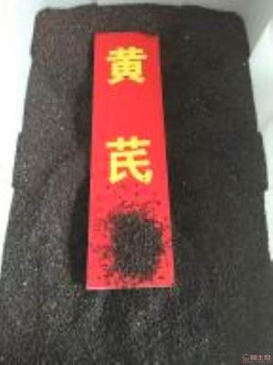 黃芪種植技術(shù)全解析 季節(jié)選擇、種子價格與畝產(chǎn)量指南