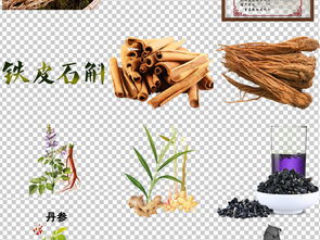 中草藥的視覺盛宴 探索中醫(yī)養(yǎng)生藥材高清素材的價值與應用